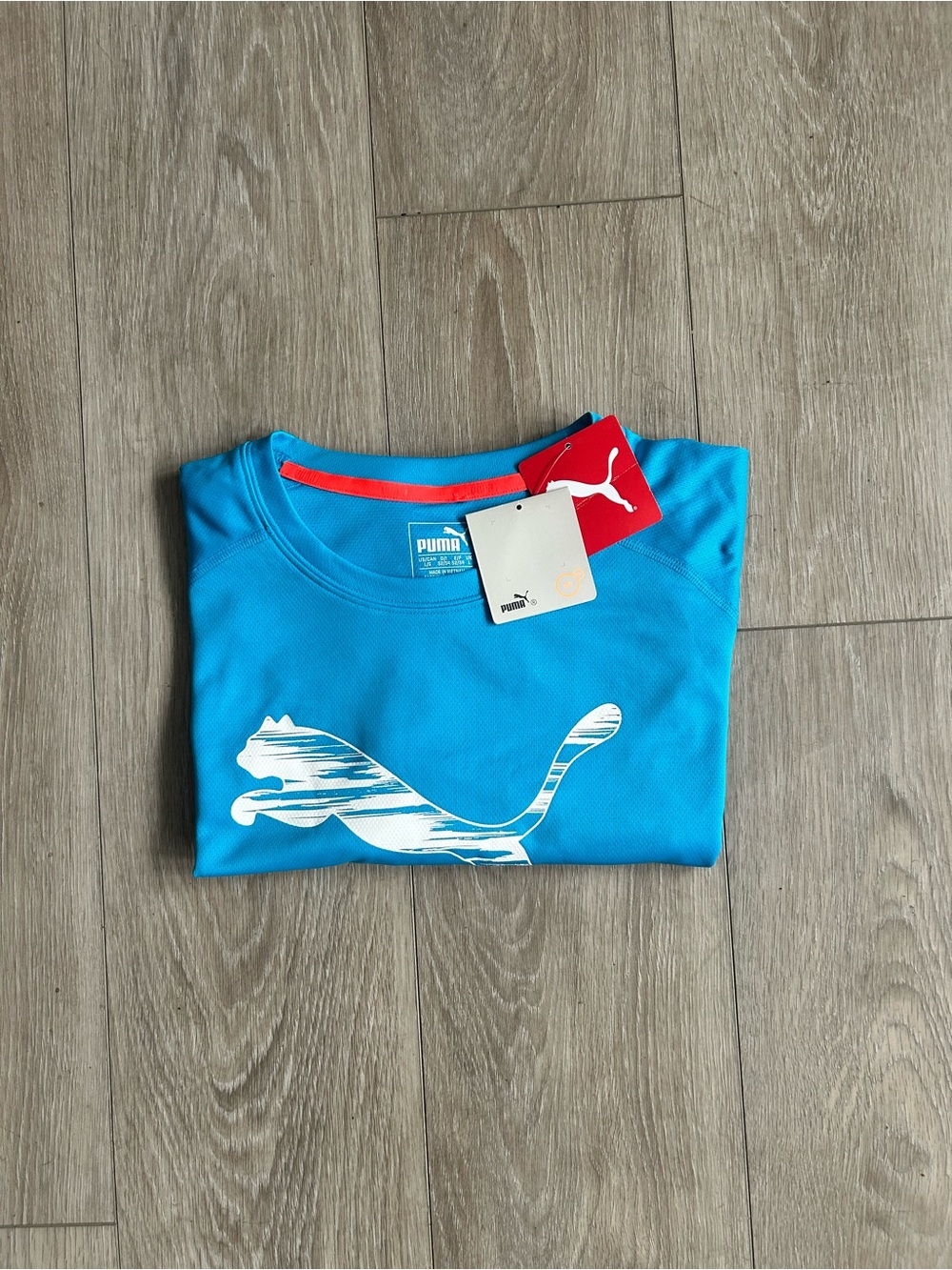 PUMA Men’s Blue Performance Logo Tee